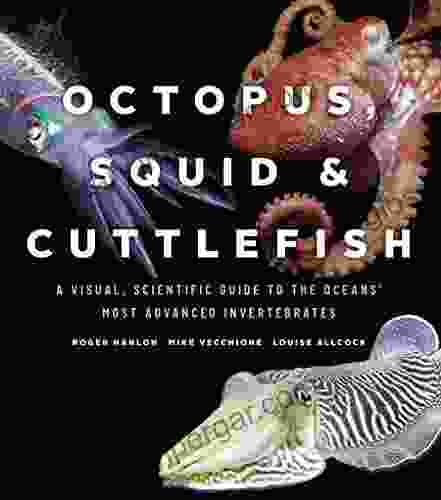 Octopus Squid And Cuttlefish: A Visual Scientific Guide To The Oceans Most Advanced Invertebrates