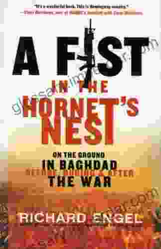 A Fist In The Hornet S Nest: On The Ground In Baghdad Before During After The War