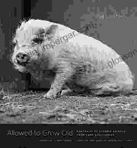 Allowed To Grow Old: Portraits Of Elderly Animals From Farm Sanctuaries