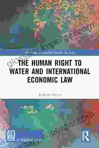 The Human Right To Water And International Economic Law (Routledge Giappichelli Studies In Law)