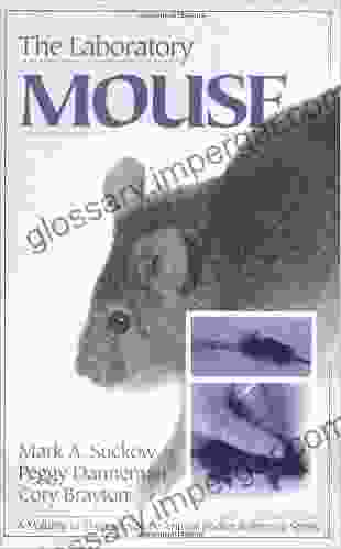 The Laboratory Mouse (Laboratory Animal Pocket Reference 8)