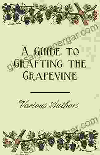 A Guide To Grafting The Grapevine