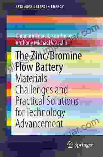 The Zinc/Bromine Flow Battery: Materials Challenges And Practical Solutions For Technology Advancement (SpringerBriefs In Energy)