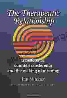 The Therapeutic Relationship: Transference Countertransference And The Making Of Meaning (Carolyn And Ernest Fay In Analytical Psychology 14)