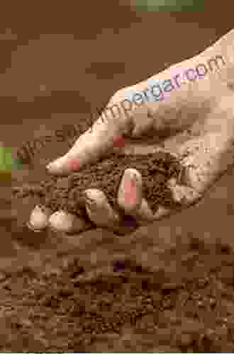 Soil And Soil Fertility