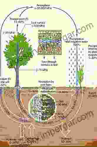 Soil Physics With Python: Transport In The Soil Plant Atmosphere System