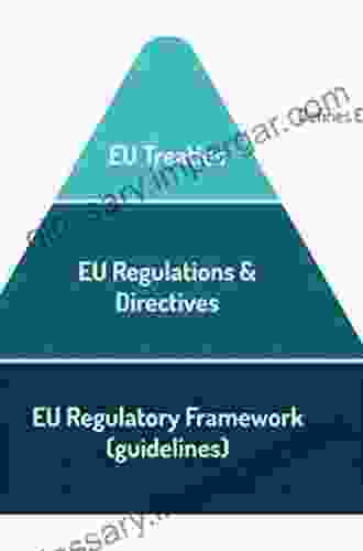 Professional Services In The EU Internal Market: Quality Regulation And Self Regulation (Modern Studies In European Law 28)