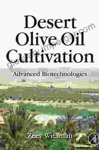 Desert Olive Oil Cultivation: Advanced Bio Technologies