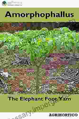 Amorphophallus: The Elephant Foot Yam