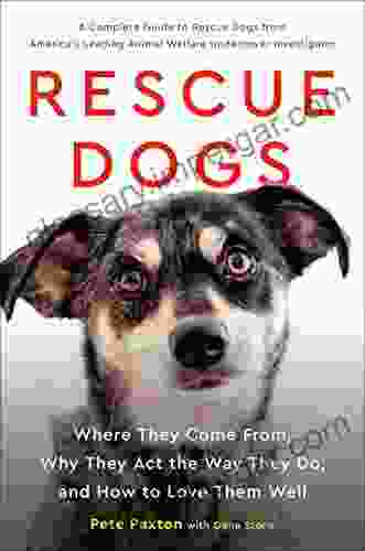 Rescue Dogs: Where They Come From Why They Act the Way They Do and How to Love Them Well