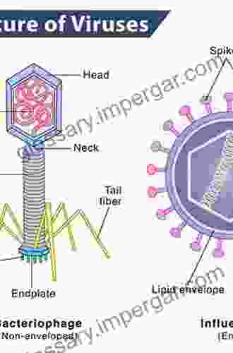 Vertebrate Animal And Related Viruses: Part A DNA Viruses